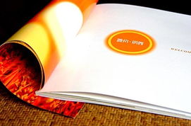 卓越家具樣本圖冊設(shè)計(jì) 一站式設(shè)計(jì)與攝影服務(wù)供應(yīng)商